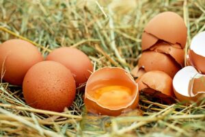 knuste egg i en åker